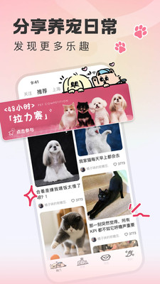 尾巴宝贝