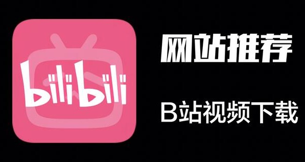 B站官网网页直接看视频