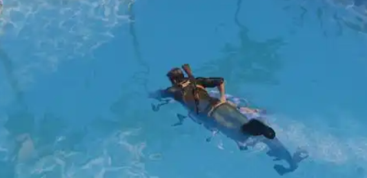 GTA5游泳怎么上浮？手把手教你轻松“浮出水面”